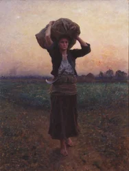 Hirtenstern